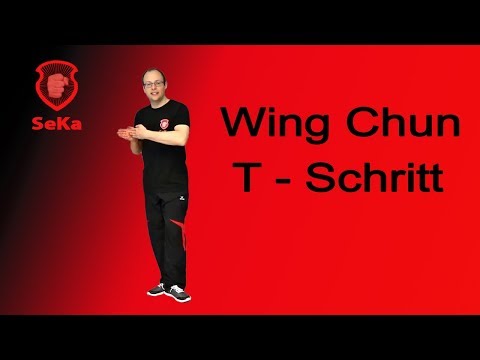 1 Satz Der Siu Nim Tao Kleine Idee Form Des Wing Tsun Wing Chun