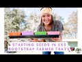 Starting seeds in 5X5 Bootstrap Farmer Trays