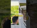 ¡Se viene una aventura de campo pura! 🥩🚜 #Caza #Campo #Vlog