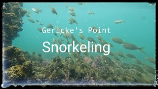 Snorkeling at Gericke's Point.