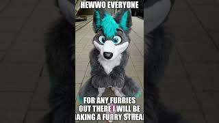 Your A Furry