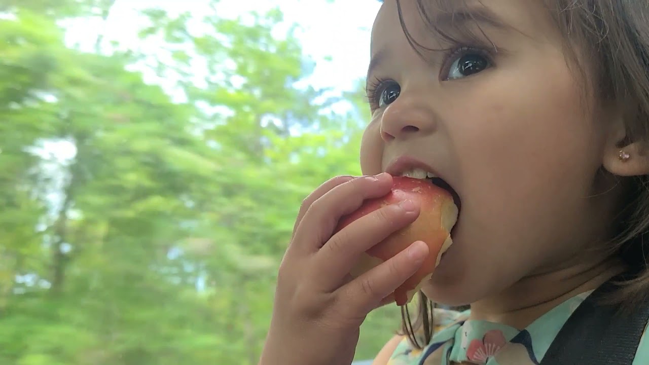 TURKEY POINT /LONG POINT BEACH