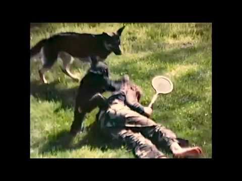 project nim trailer Watch project nim (2011) movie online from the oscar-winning team behind man on wire comes the story of nim, the chimpanzee who in the 1970s. project nim trailer Watch project nim (2011) movie online from the oscar-winning team behind man on wire comes the story of nim, the chimpanzee who in the 1970s.