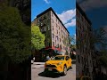 LIFE IN NEW York CITY
