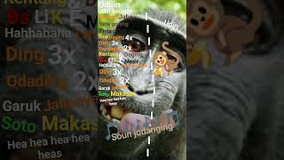 lagu udin makan jodading🤣🤣😂99like plis