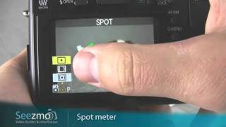 Panasonic GF1: Spot Meter Guide