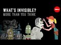 What's invisible? More than you think - John Lloyd