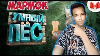 Marmok Blair Witch "Баги, Приколы, Фейлы" РЕАКЦИЯ|РЕАКЦИЯ НА МАРМОКА