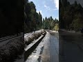 Darjeeling #trending #darjeeling #snowfall #viral #trend #youtubeshorts #mountains #travelvlog #fun
