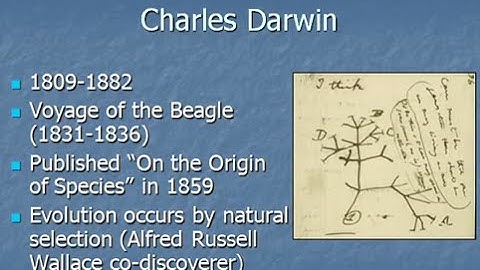 Darwin & Natural Selection - Biology Lecture - Mr Pauller