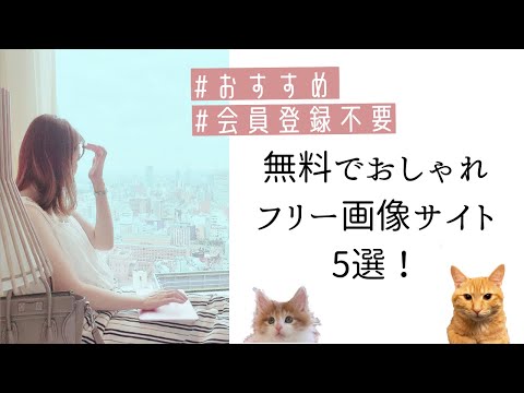 カップル 後ろ姿 無料 カップル 後ろ姿 無料