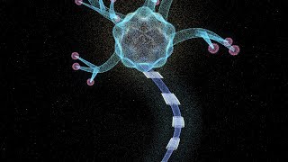 Consciousness: how does the brain create reality?