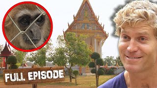 The Bondi Vet Becomes The Bangkok Vet! ‍⚕ | Bondi Vet Thailand Special Full Episode | Untamed