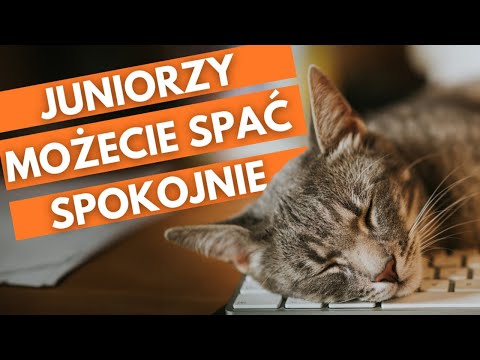 Wideo: Czym jest sztuczna inteligencja w programowaniu?