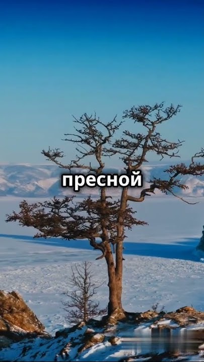 Самое глубокое озеро в мире - Байкал #amazingfacts #факты #science # ...