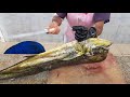 Whole Dorado Fish Cutting Skill।Mahi Mahi Fish Cutting Skill।Giant Mahi Mahi Fish Japan Seafood।