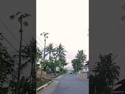 Ayam Kampung Pulang