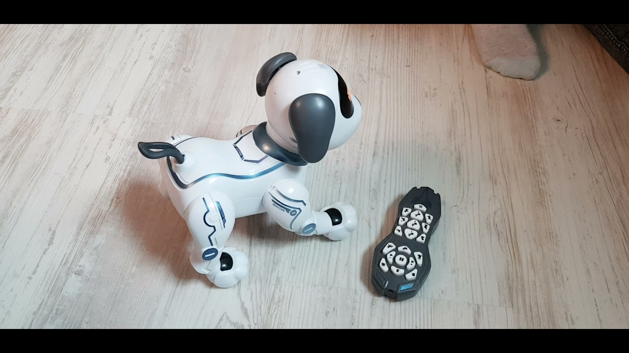 Roboterhund Stuntdog