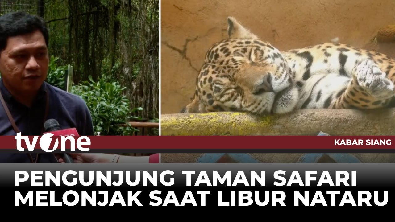 Liburan Seru Melihat Satwa di Taman Safari | Kabar Siang tvOne - YouTube