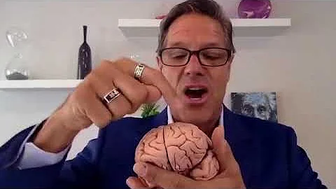 Rewire Your Brain So You Can Achieve Your Dream Life