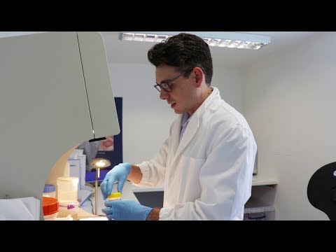 Video: Patolog Lön