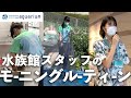 【モーニングルーティン】水族館オープンまでの仕事【サンシャイン水族館】