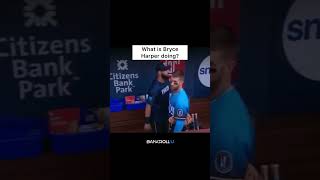 Celebrity Bryce Harper has a strange way of dapping up his teammates ⚾️ Wealth