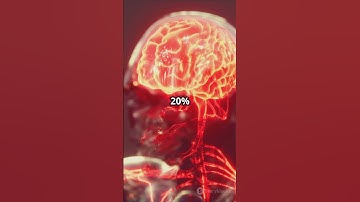 Your Brain Is Faster Than Any Computer — Here