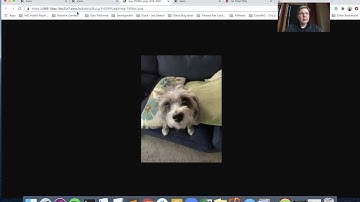 Becoming a No-coder - Part 12-B (Connect image to user) - AppGyver and Xano