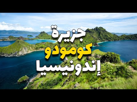 فيديو من قناة كولومبوس