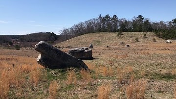 Nature in Your Neighborhood: Glacial Erratic