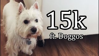Playing with dogs to celebrate 15,000 subscribers
