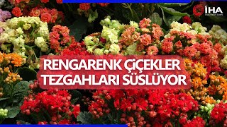 Rengarenk çiçekler tezgahları süslüyor