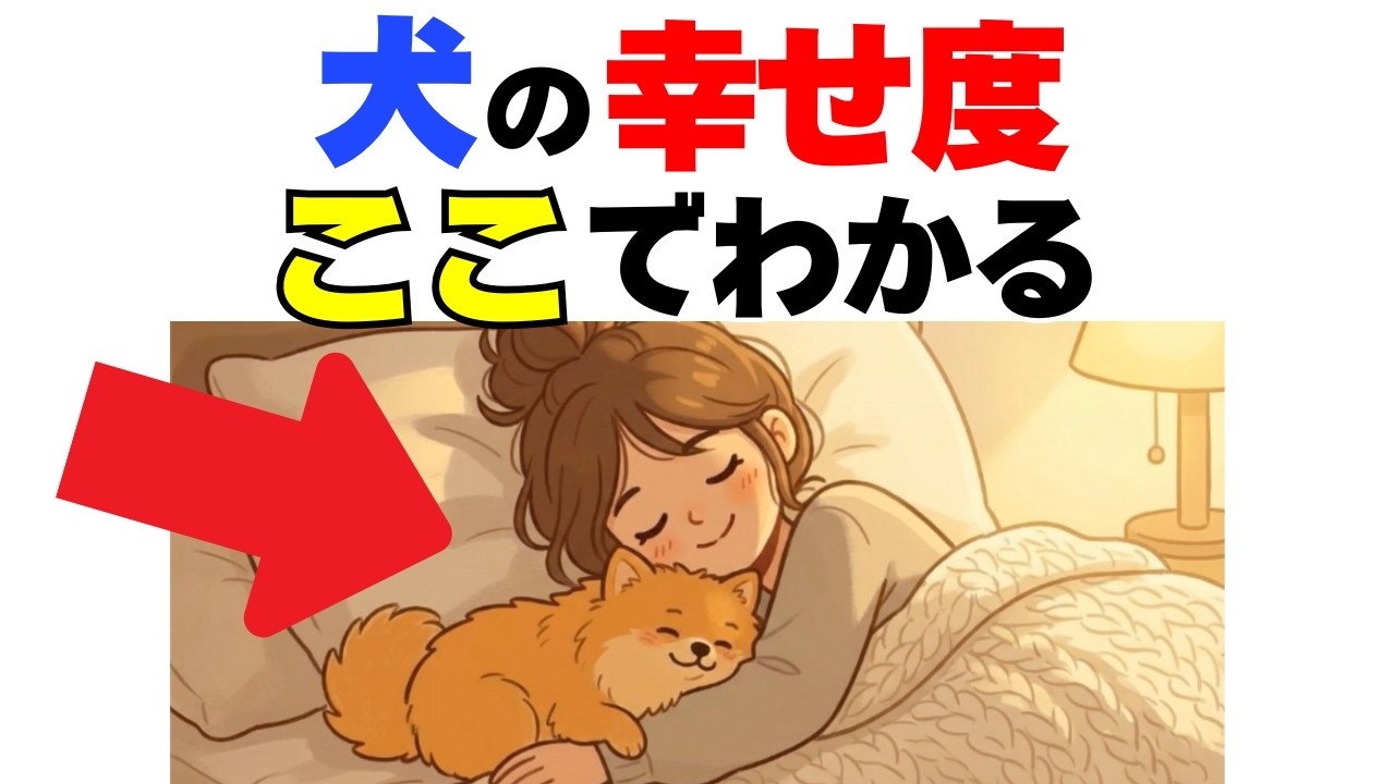 犬の〇〇を見るだけで生活が幸せかどうかわかる｜犬の厳選雑学