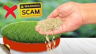 6 SECRETS TO GROW LAWN GRASS FROM SEED | Beware of Seed Scams screenshot 3