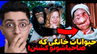 حیوانات خطرناک که به صاحب هاشون حمله کردن!😱حیوانات خانگی اشتباه❌