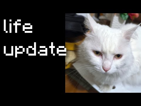 HellCastle life update :) (back in Lebanon) thumbnail