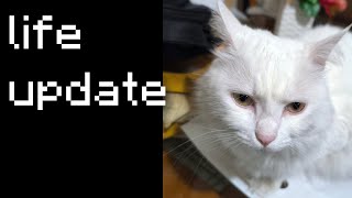 Download Lagu HellCastle life update :) (back in Lebanon) MP3