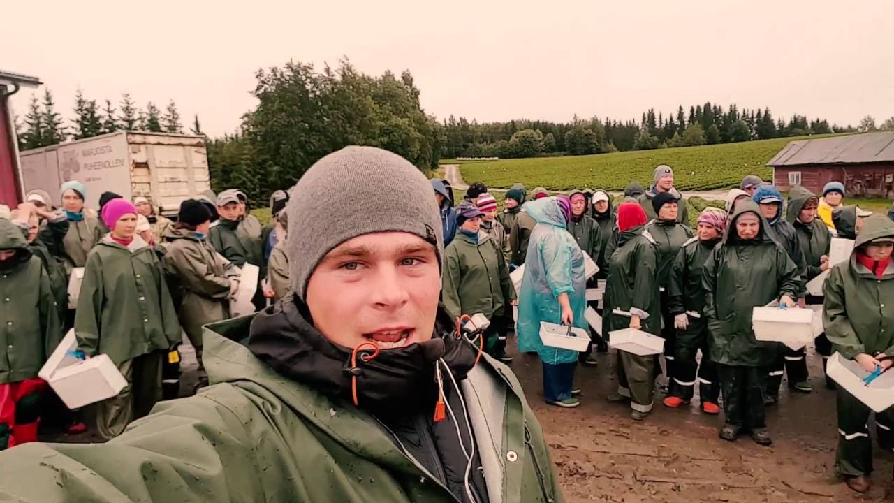 Работа в финляндии Работа в финляндии