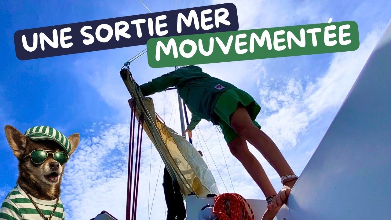 ⁣Sortie mer mouvementée
