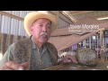 50th Annual Freer Rattlesnake Round-Up