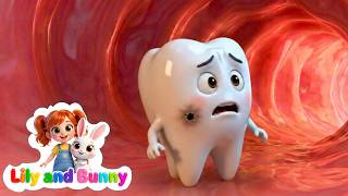 Brush Your Teeth Song  More Nursery Rhymes  Lily And Bunny Kids 