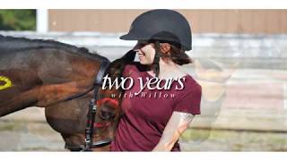 Two Years with Willow