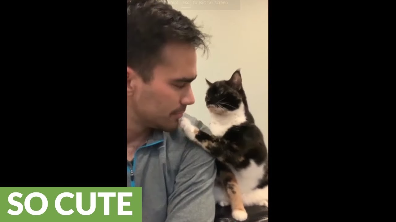 funny cats sleeping in weird positions compilation 2014 funnyplox Cat gently paws owner on the lips