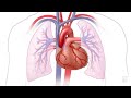 Mayo clinic minute what is heart disease