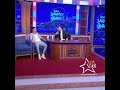 فيصل الصغير يكشف لاول مرة في برنامج سامي الفهري خطبت بنت حومتي وعندي 7 سنين وانا معاها