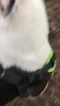 youtube.com