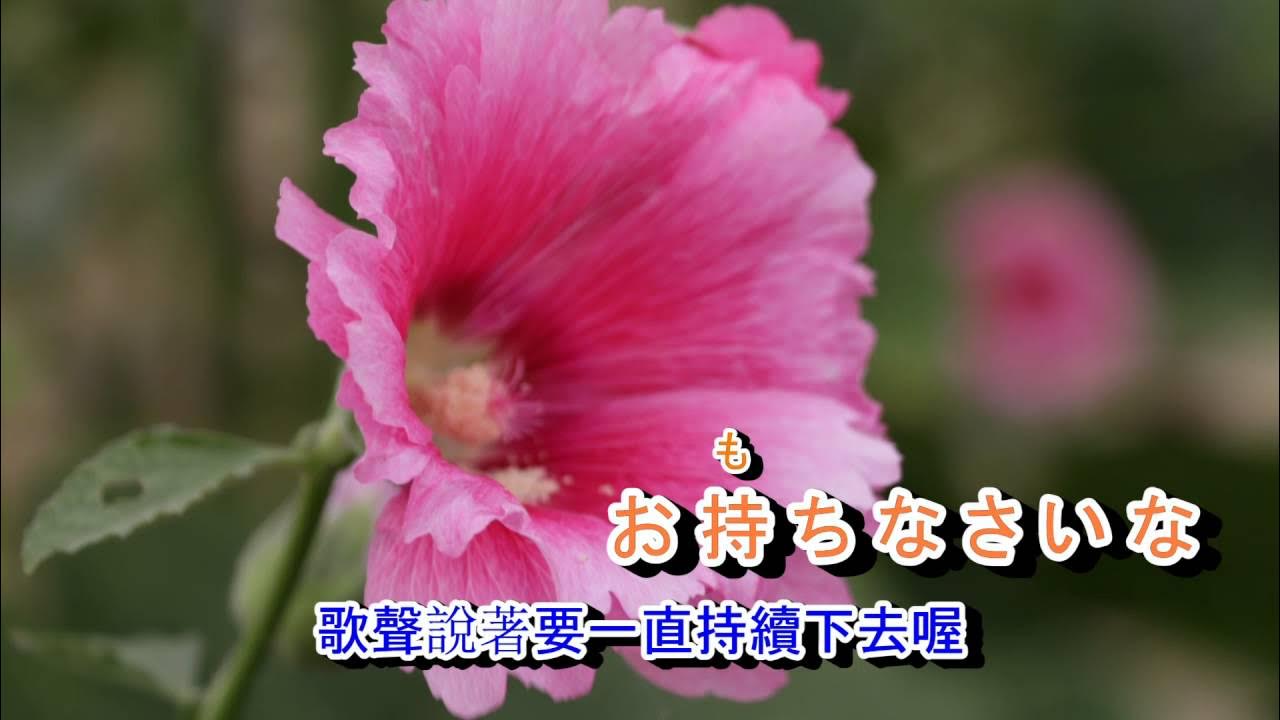01-058 いつでも夢を *** 橋幸夫・吉永小百合 金嗓 41193 01-058 いつでも夢を *** 橋幸夫・吉永小百合 金嗓 41193