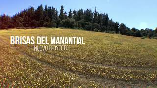 BRISAS DEL MANANTIAL