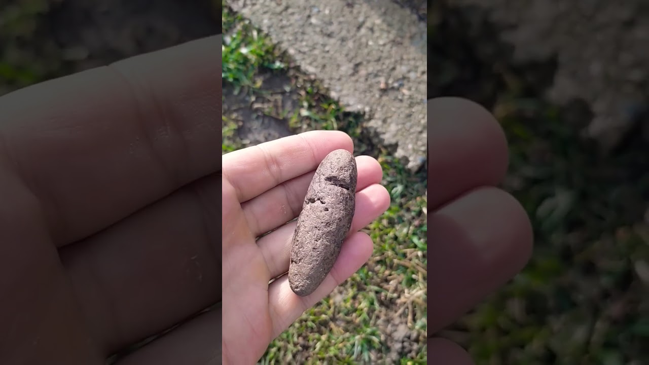 Экскременты древнего тюленя(Копролит-coprolite) р.Пшеха